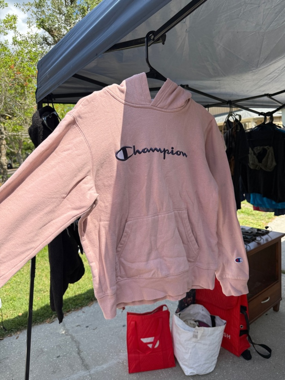 Champion Dusty Pink Hoodie with Navy Script
